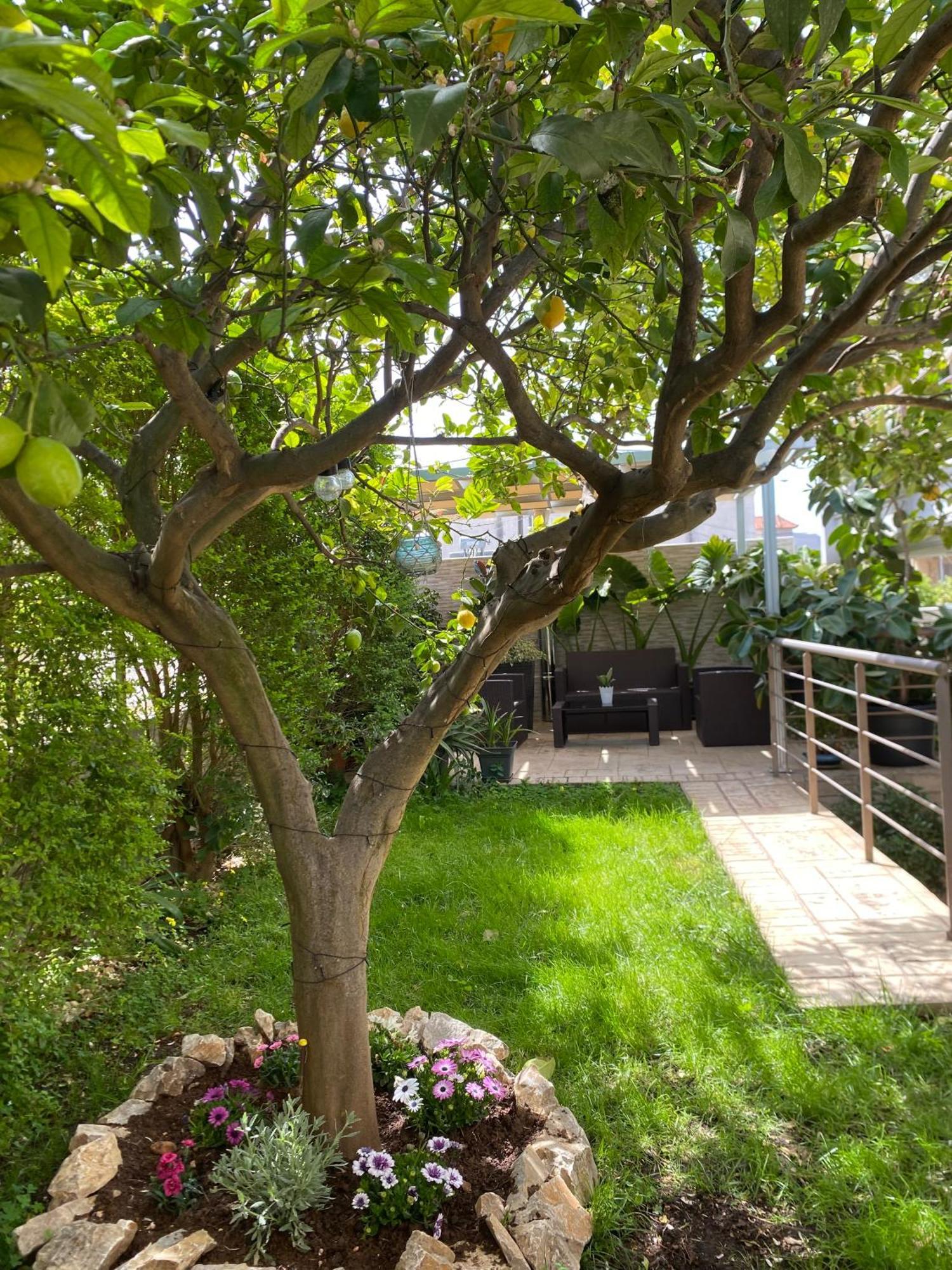 Apartment Near Athens Airport, Rafina Port And Sea Artemida  Exterior photo
